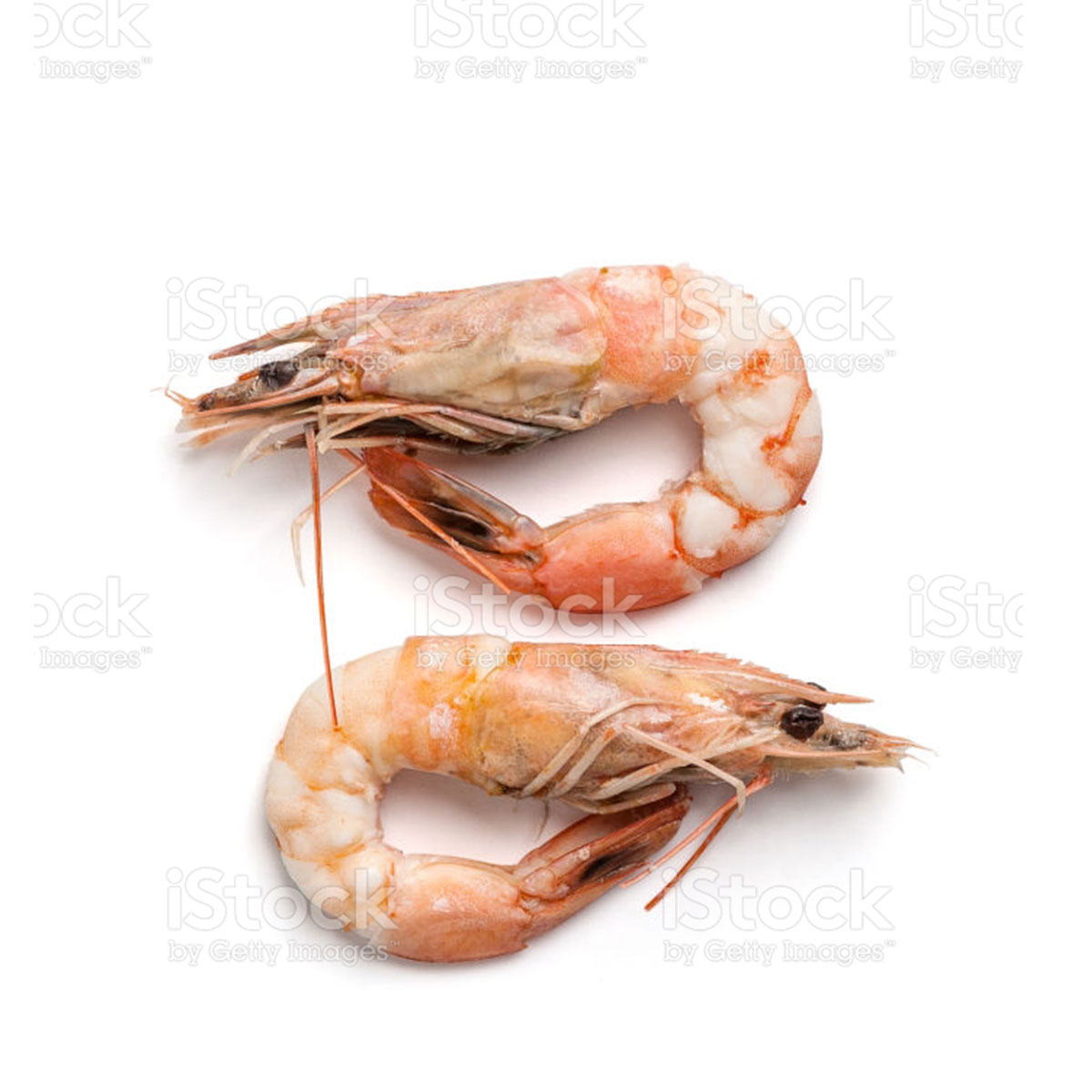 merenpesca-esempio6